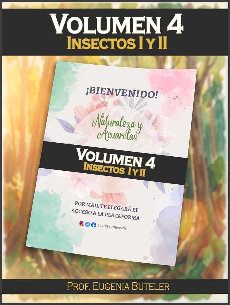 🐞Volumen 4 - Naturaleza y Acuarelas "Insectos"